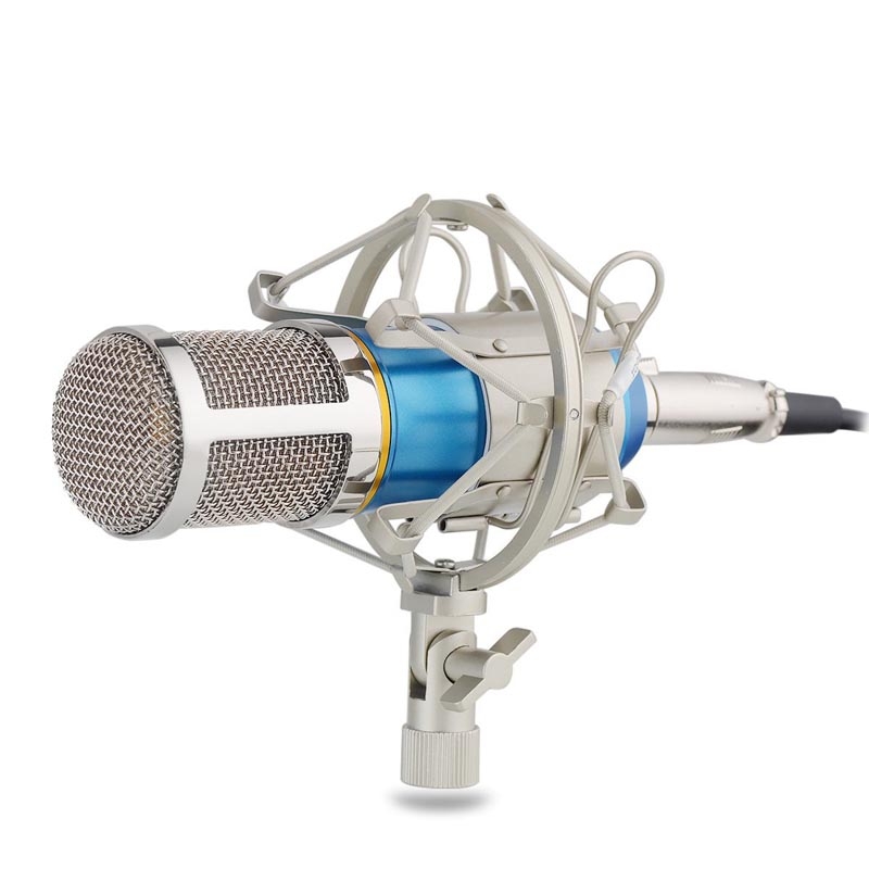 InnoGear Recording Studio Condenser Microphon